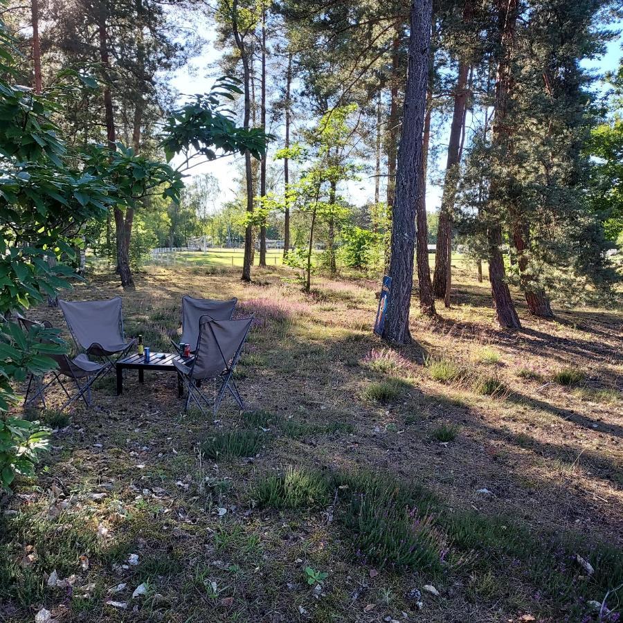 Camping Onlycamp Les Pins Nancay Exteriér fotografie
